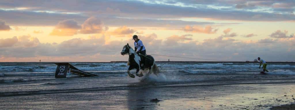 Horse Boarding - Intrepid Escape