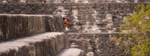 Discover the Mayan Ruins - Intrepid Escape