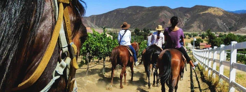 Horse Riding Wine Tasting Temecula