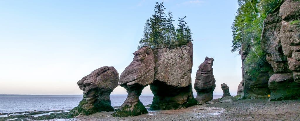 Hopewell Rocks photography guide facts - Intrepid Escape