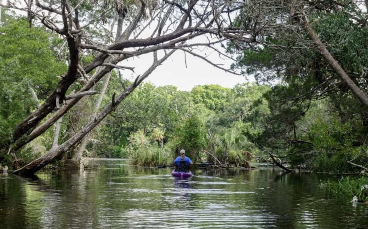 Kayaking-with-manatees-in-Crystal-River-Florida